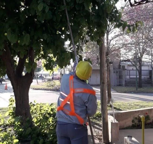 bcd77ac2-2043-45bd-9494-b83a7227faae