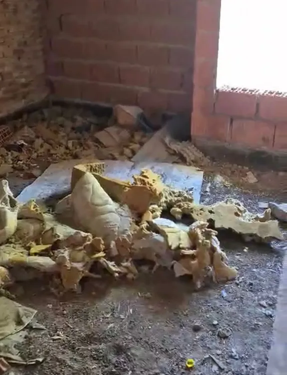 WhatsApp Image 2026-02-20 at 10.49.23 AM