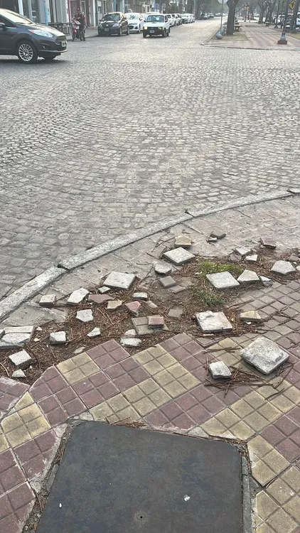 PHOTO-2024-10-14-10-59-26