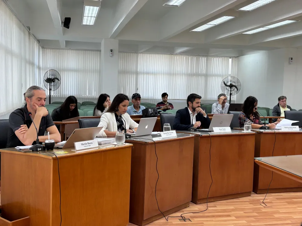 WhatsApp Image 2025-05-08 at 11.31.45 AM