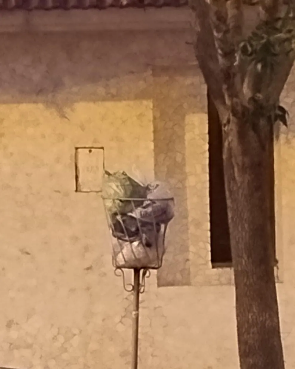 e6ec525b-b1c0-482c-8c15-03f87f8c6f22