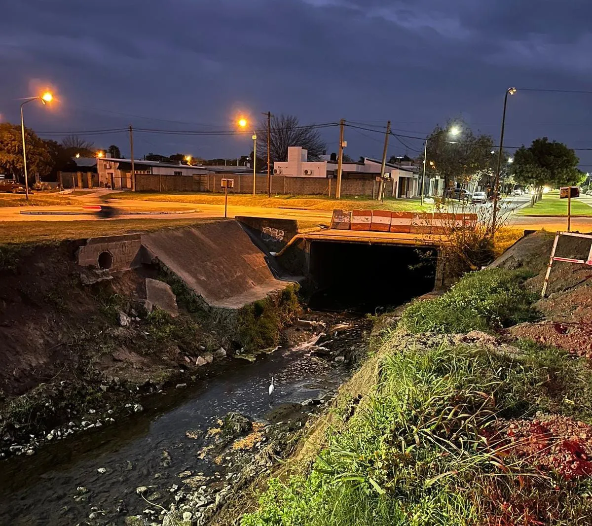 WhatsApp Image 2025-06-13 at 11.13.59 AM